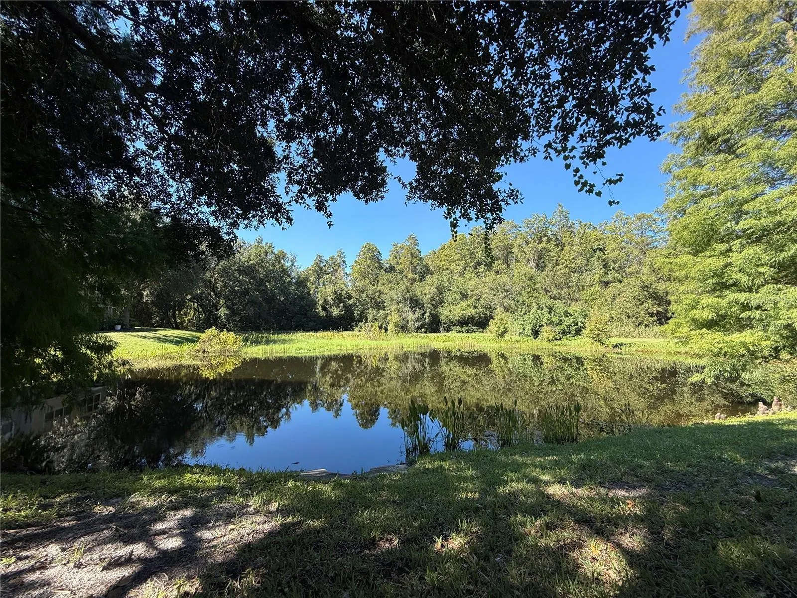 10445 WESTPARK PRESERVE BLVD
