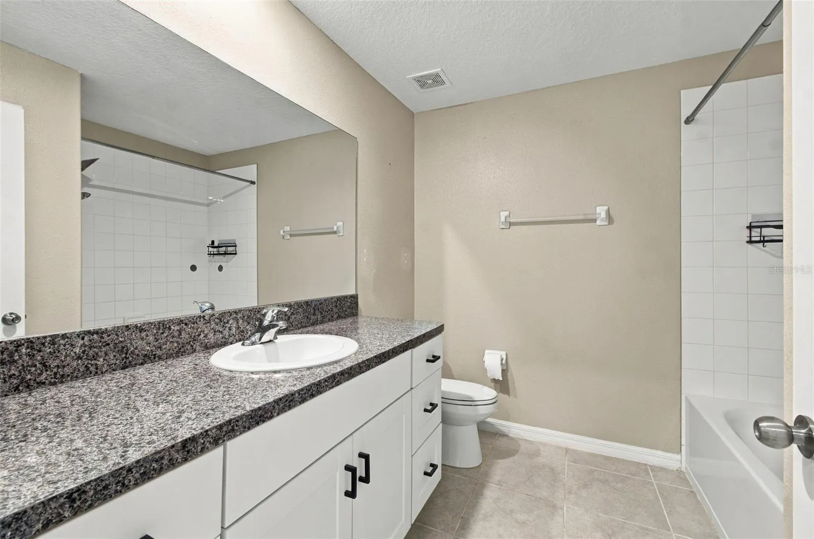 13580 WILLOW BLUESTAR LOOP