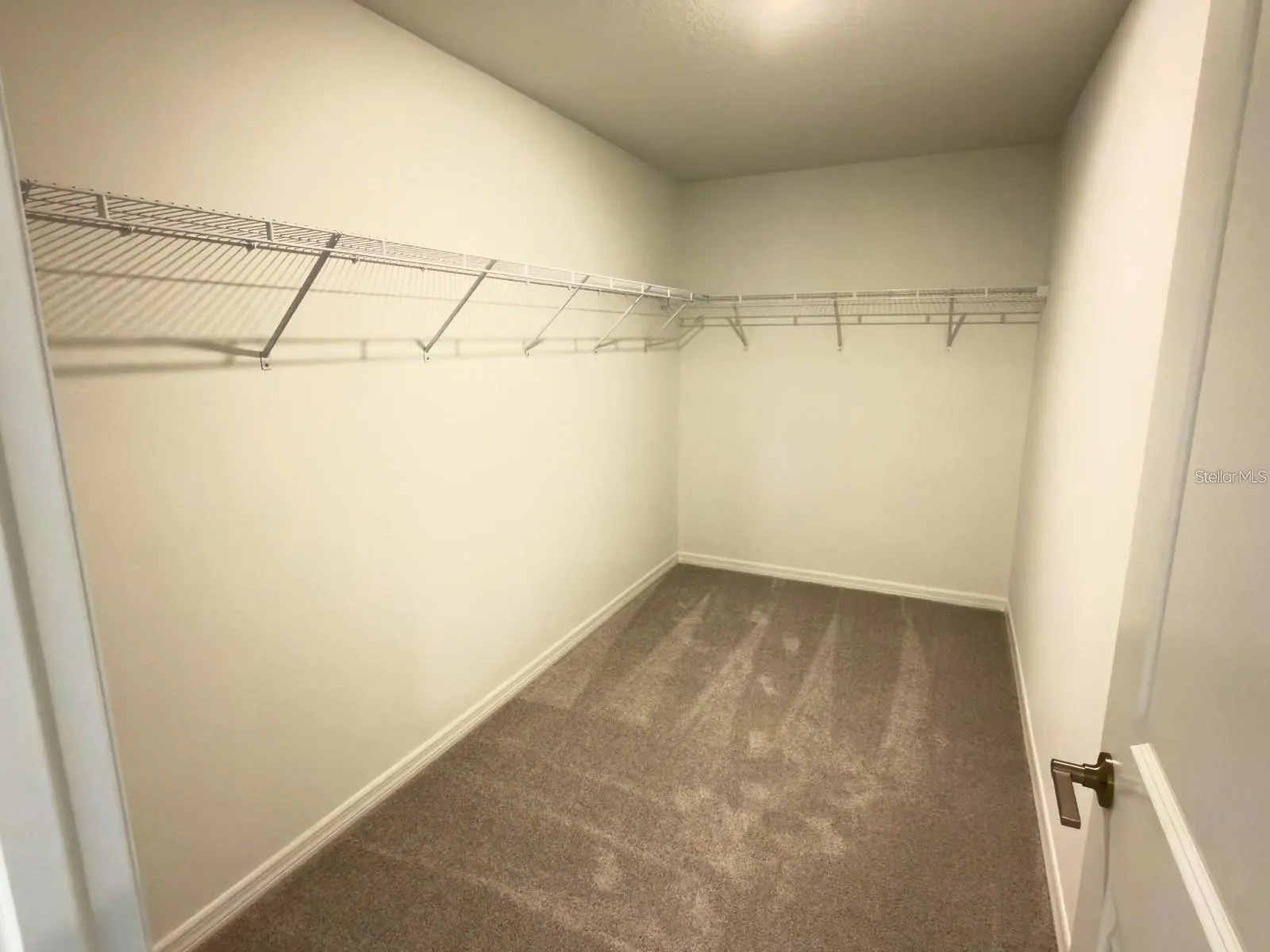 2318 ALLIUM ROSEUM LN
