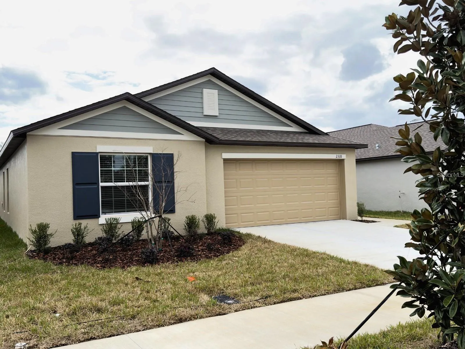 2318 ALLIUM ROSEUM LN