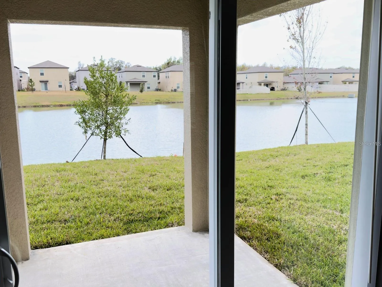 2318 ALLIUM ROSEUM LN