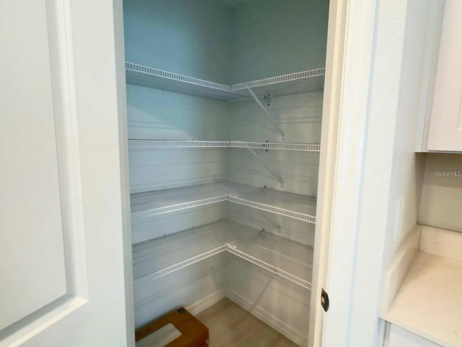 2318 ALLIUM ROSEUM LN