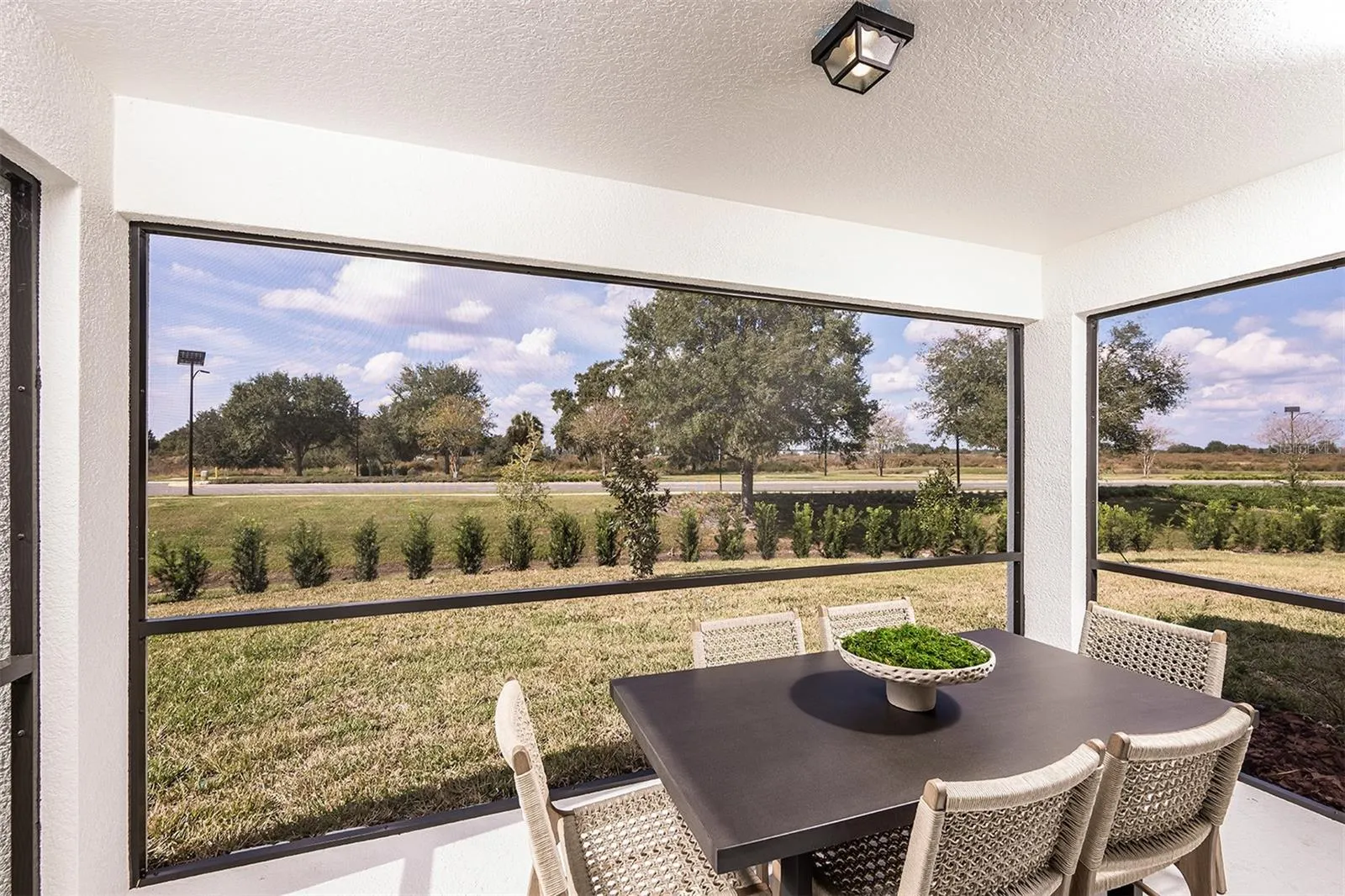9907 TRELLIS VINE WAY