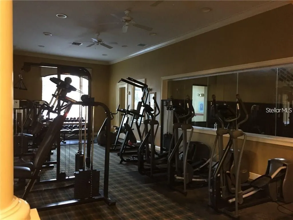 9916 COURTNEY PALMS BLVD #303 #303