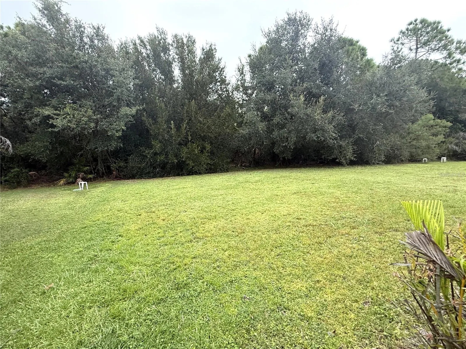 12196 ALACHUA LN