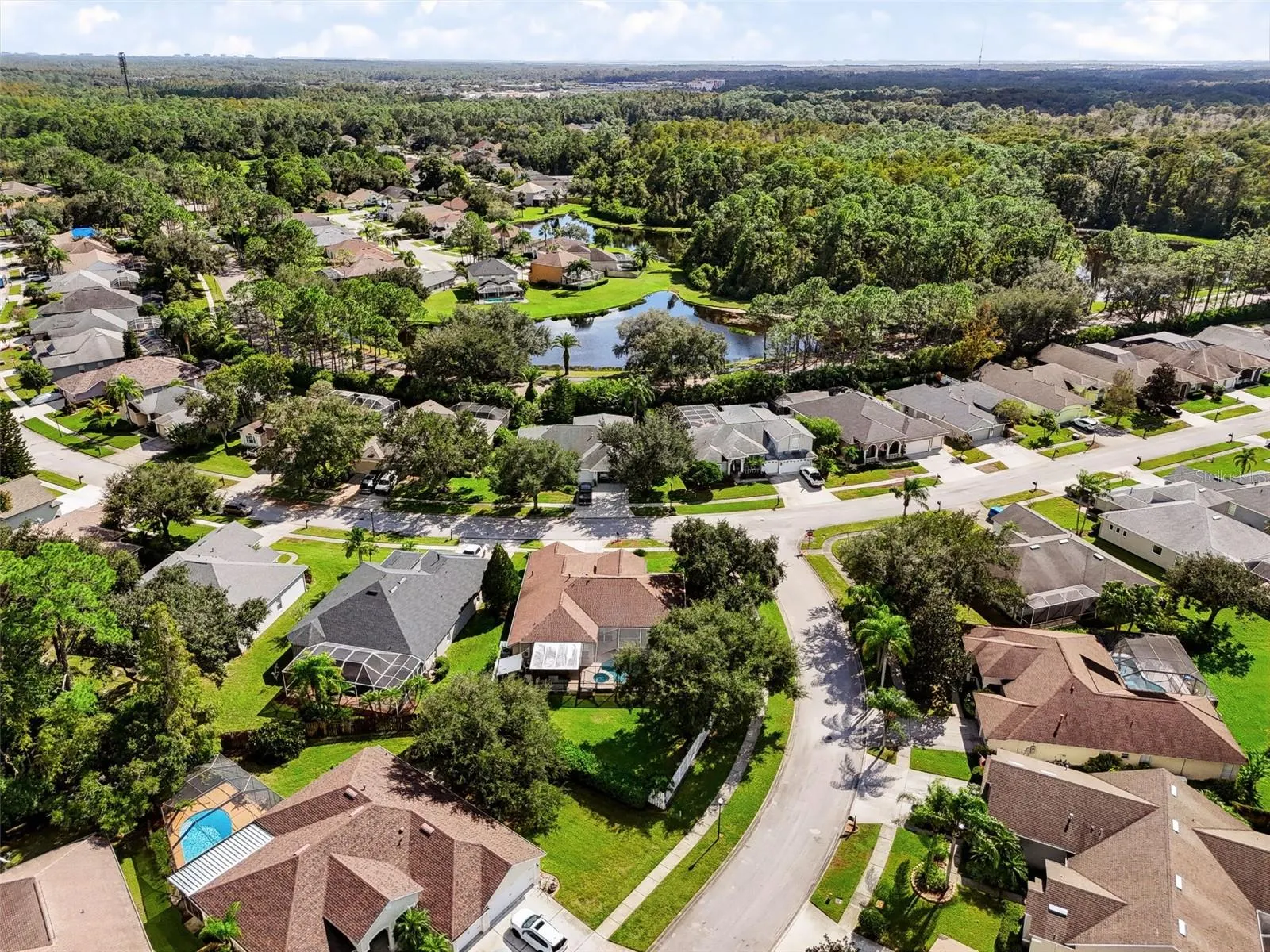 12541 LEATHERLEAF DR