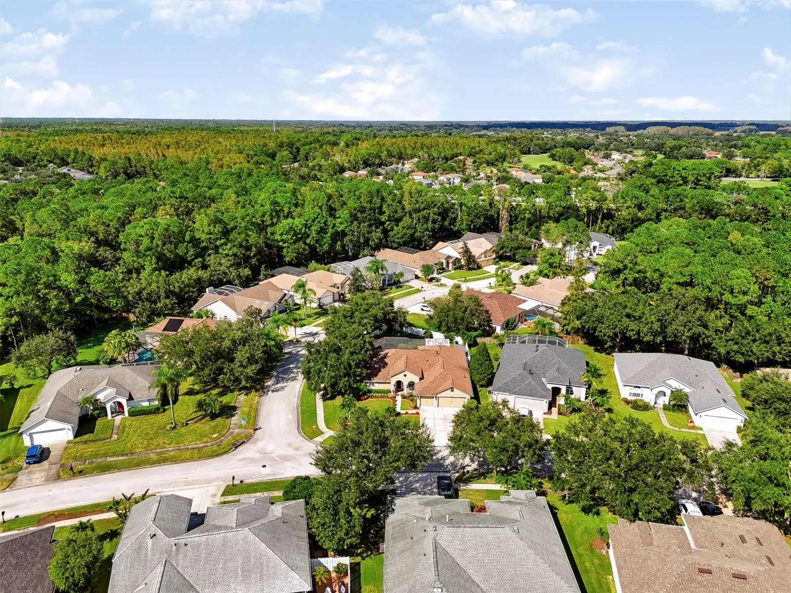 12541 LEATHERLEAF DR