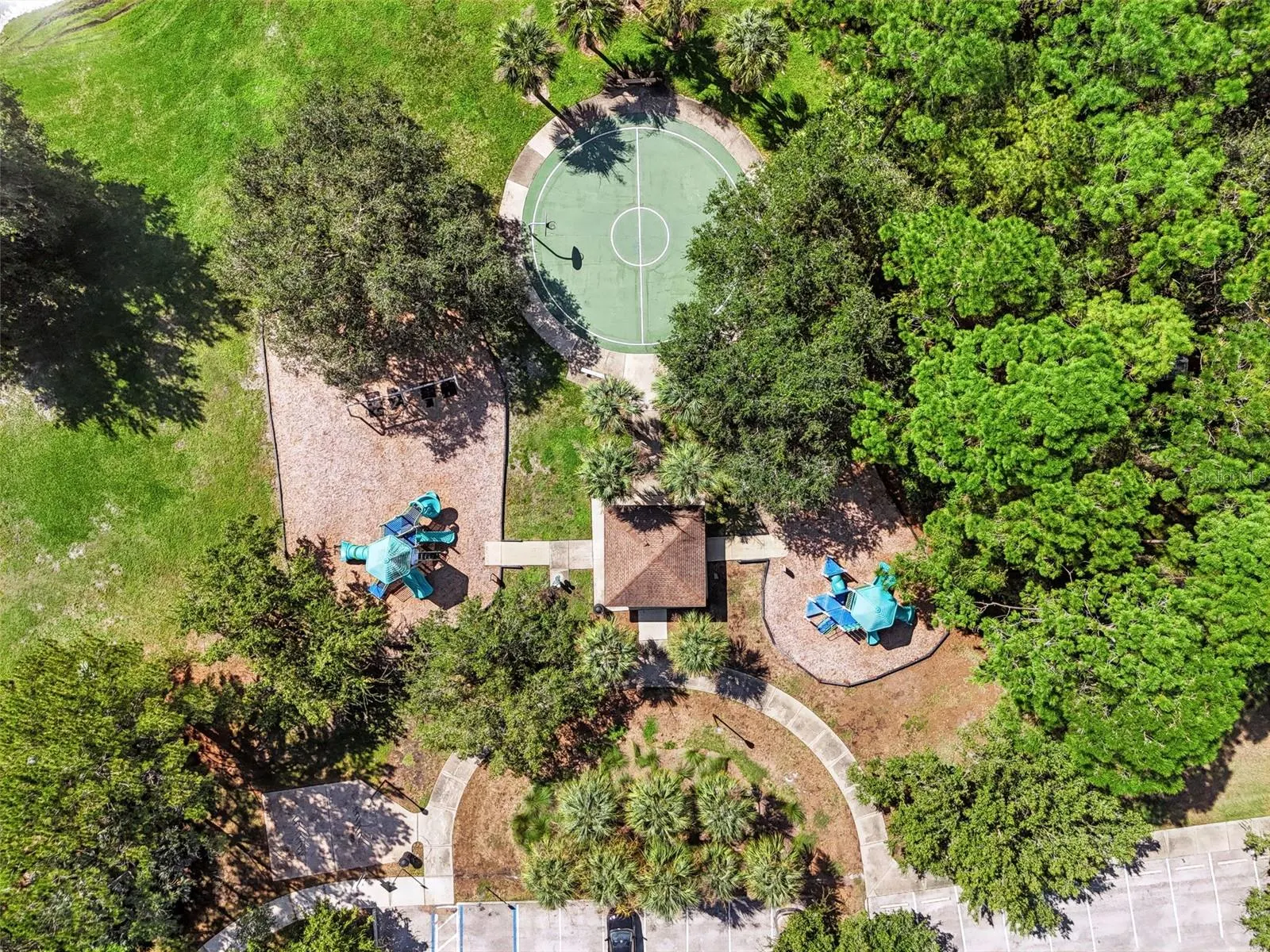 12541 LEATHERLEAF DR