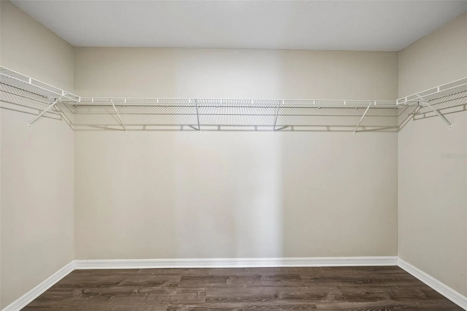 4103 GLOBE THISTLE DR