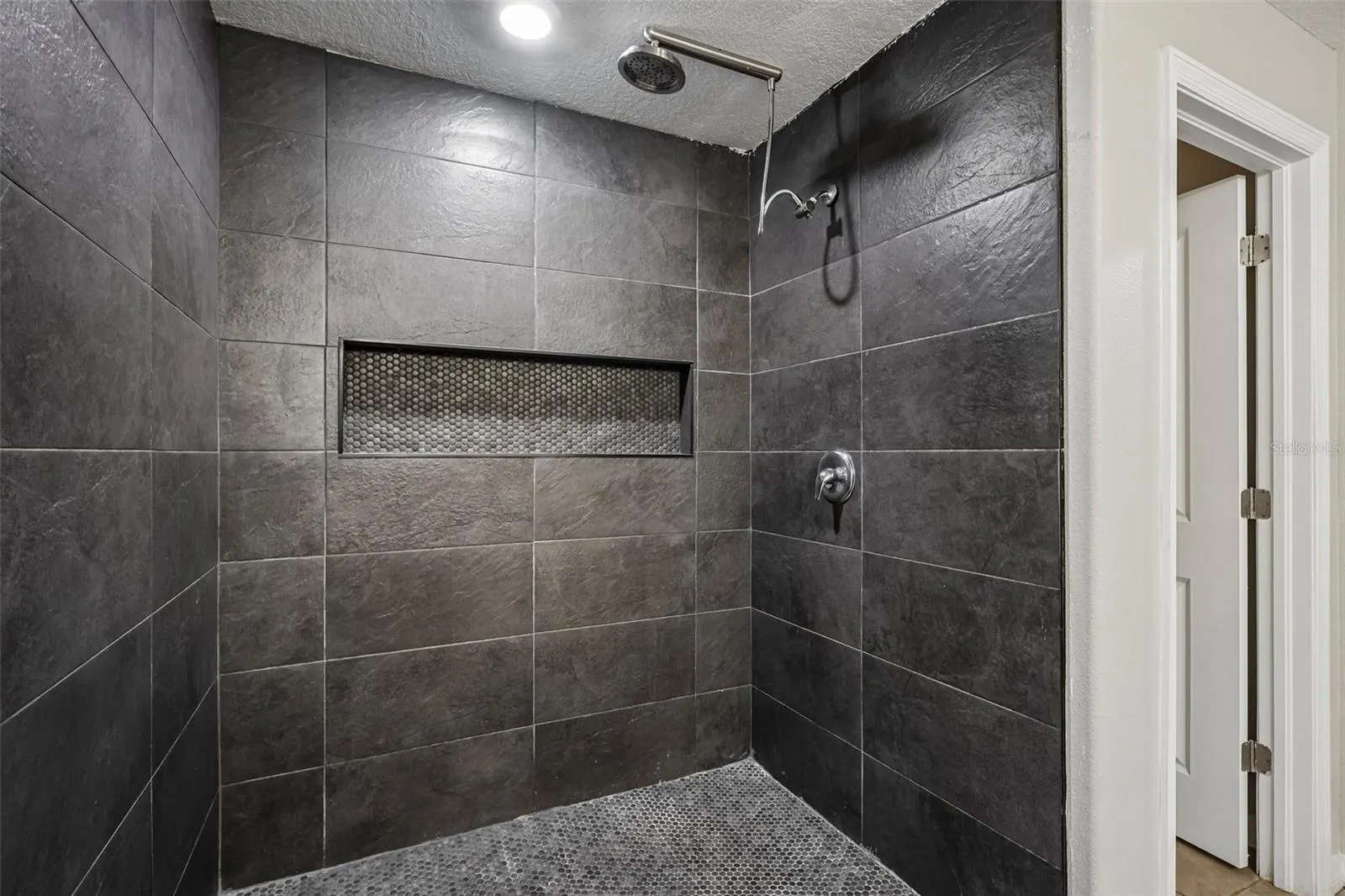 4103 GLOBE THISTLE DR