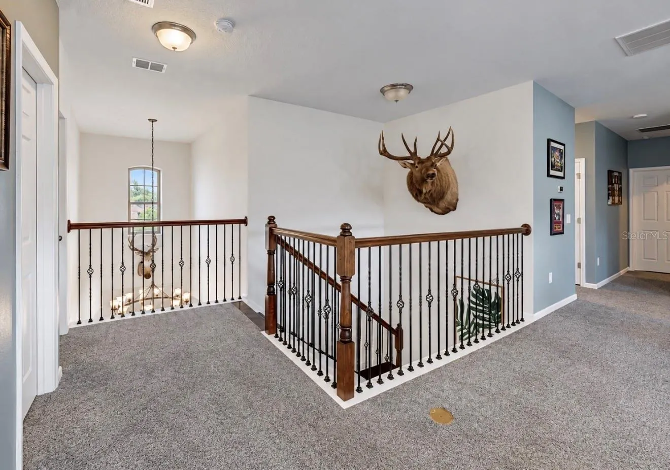 10411 CARDERA DR