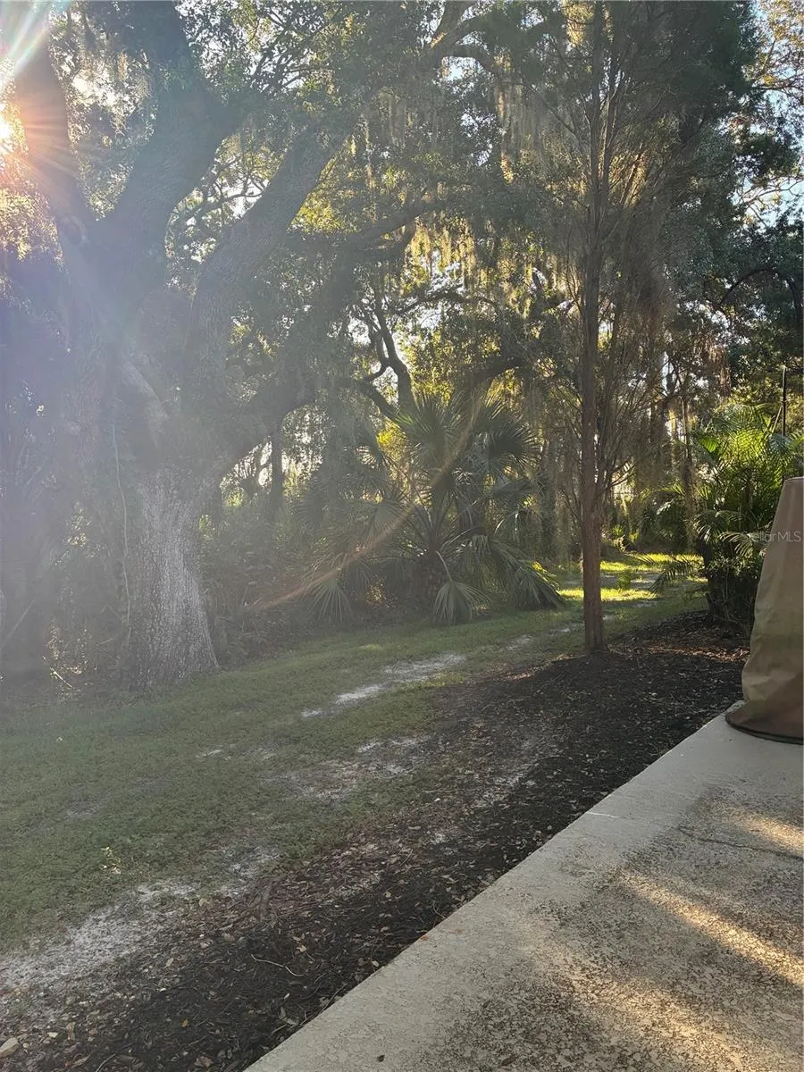 20105 WEEPING LAUREL PL