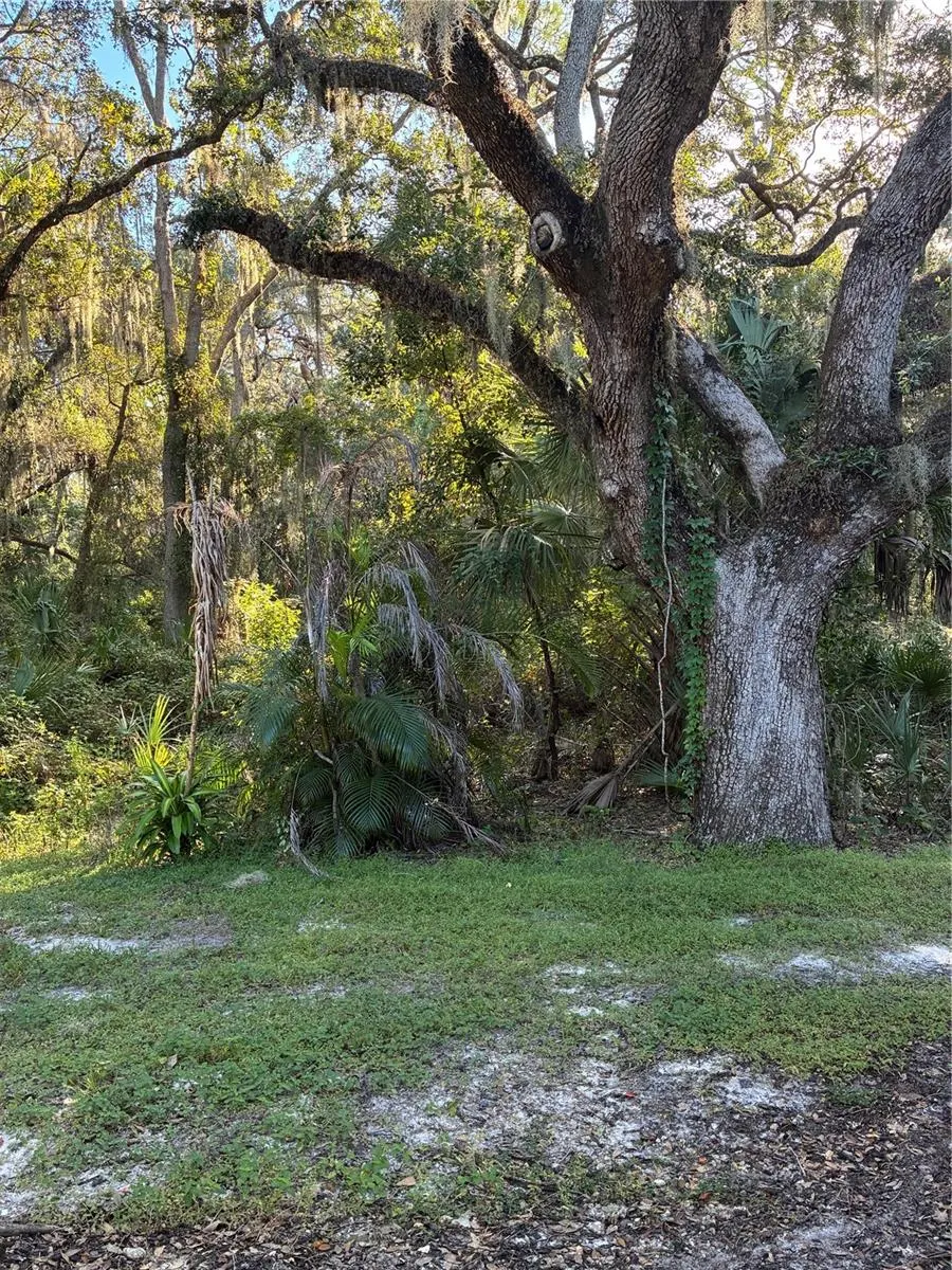 20105 WEEPING LAUREL PL