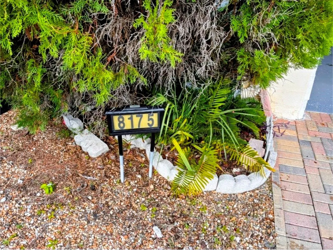 8175 GULF BLVD