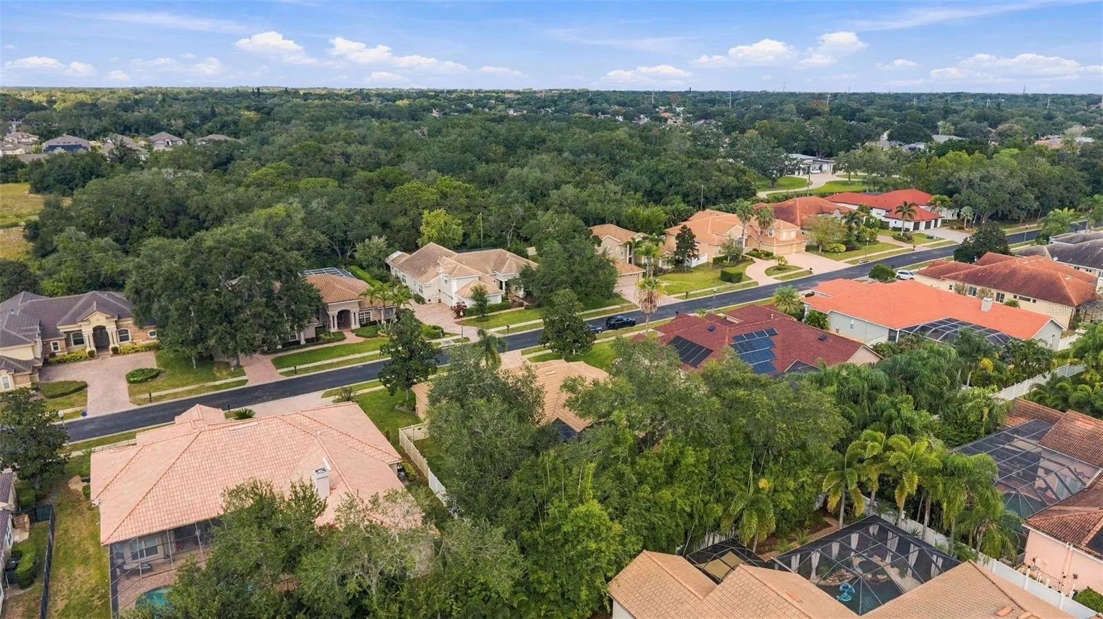 1663 CANOPY OAKS BLVD