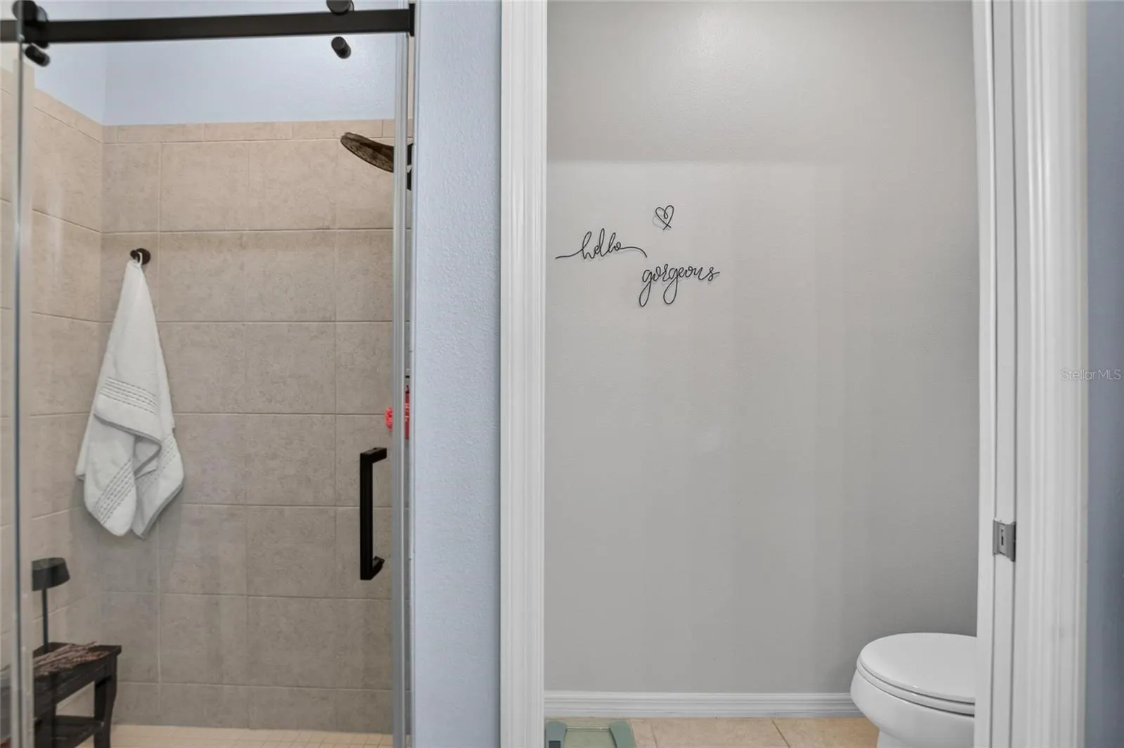5604 BALCONY BRIDGE PL