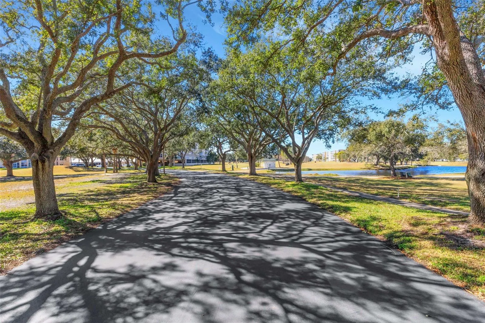4460 FAIRWAYS BLVD #105 #105