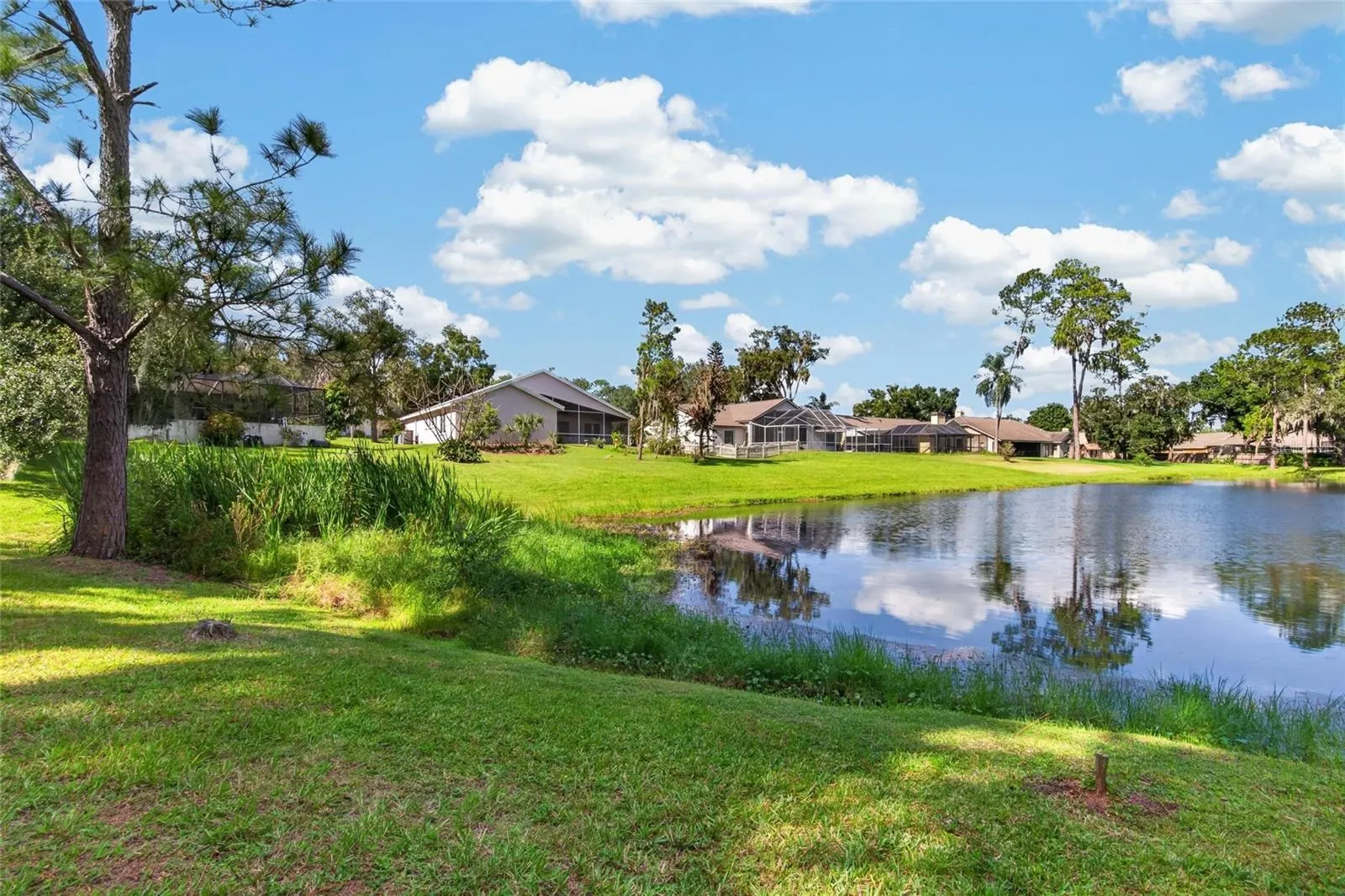 10120 SEDGEBROOK DR