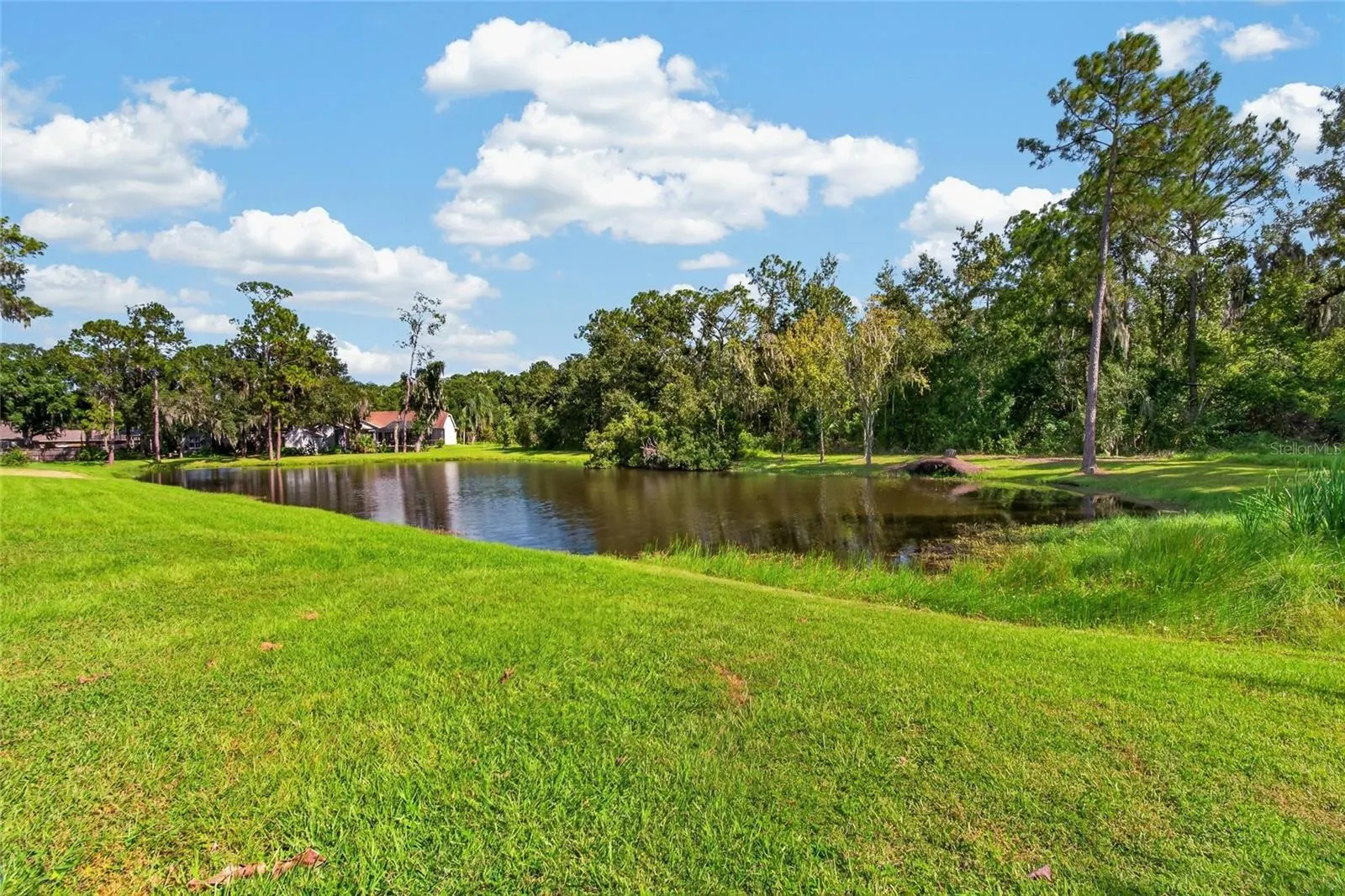 10120 SEDGEBROOK DR