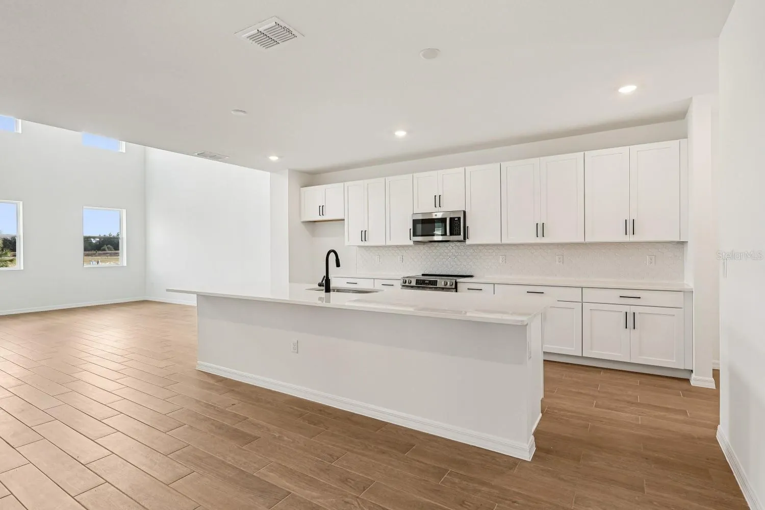 12866 EUREKA LEMON DR