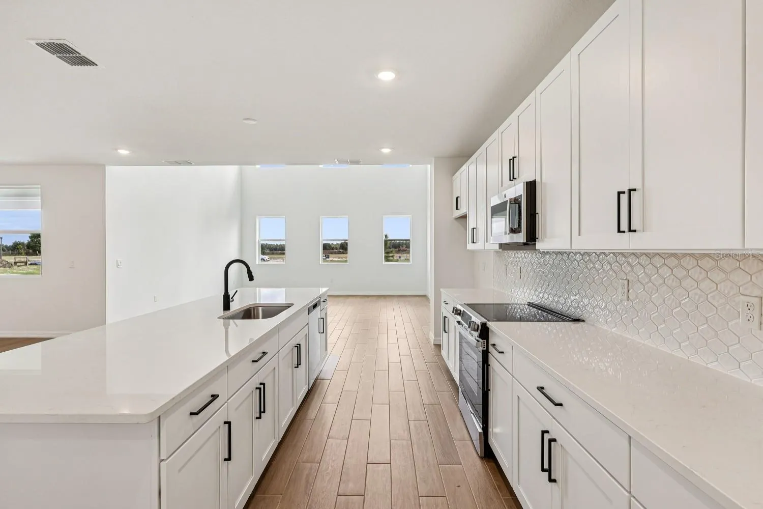 12866 EUREKA LEMON DR