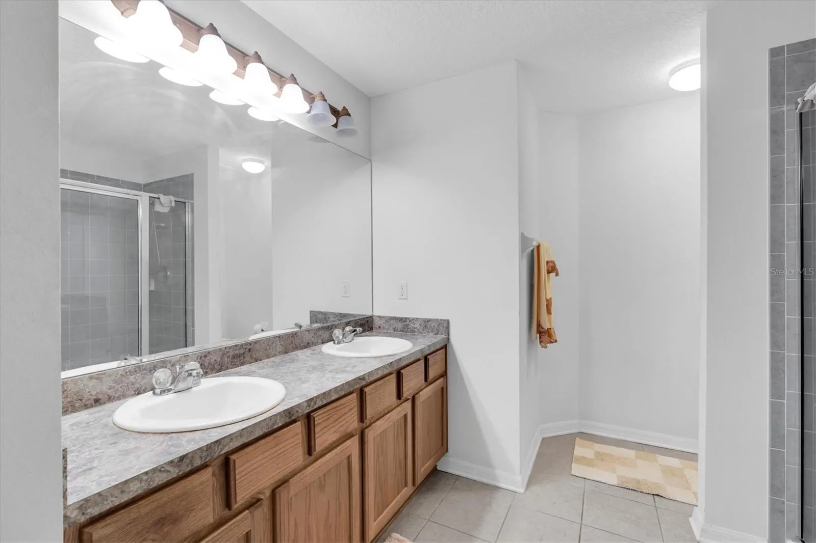 10608 SHADY FALLS CT