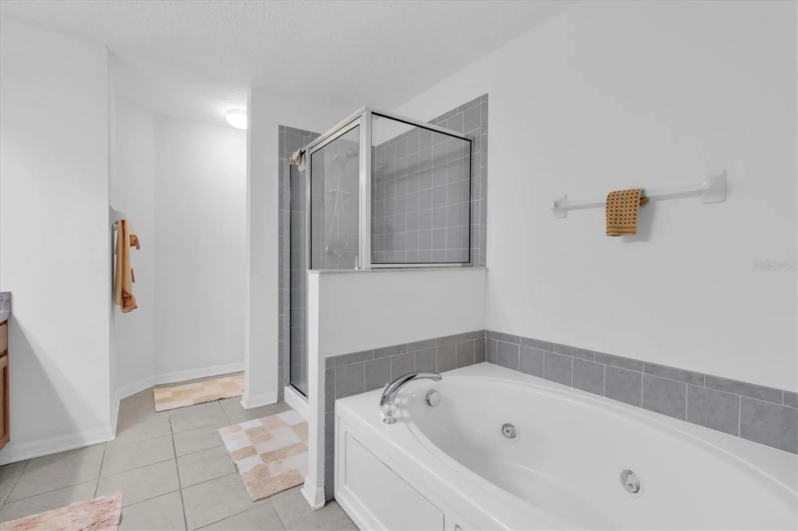 10608 SHADY FALLS CT