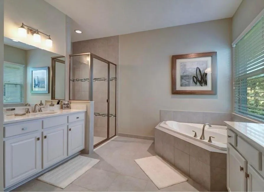30582 IVY FORGE CT