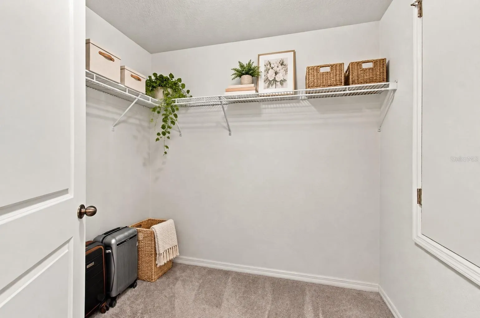 3808 KEARSNEY ABBEY CIR