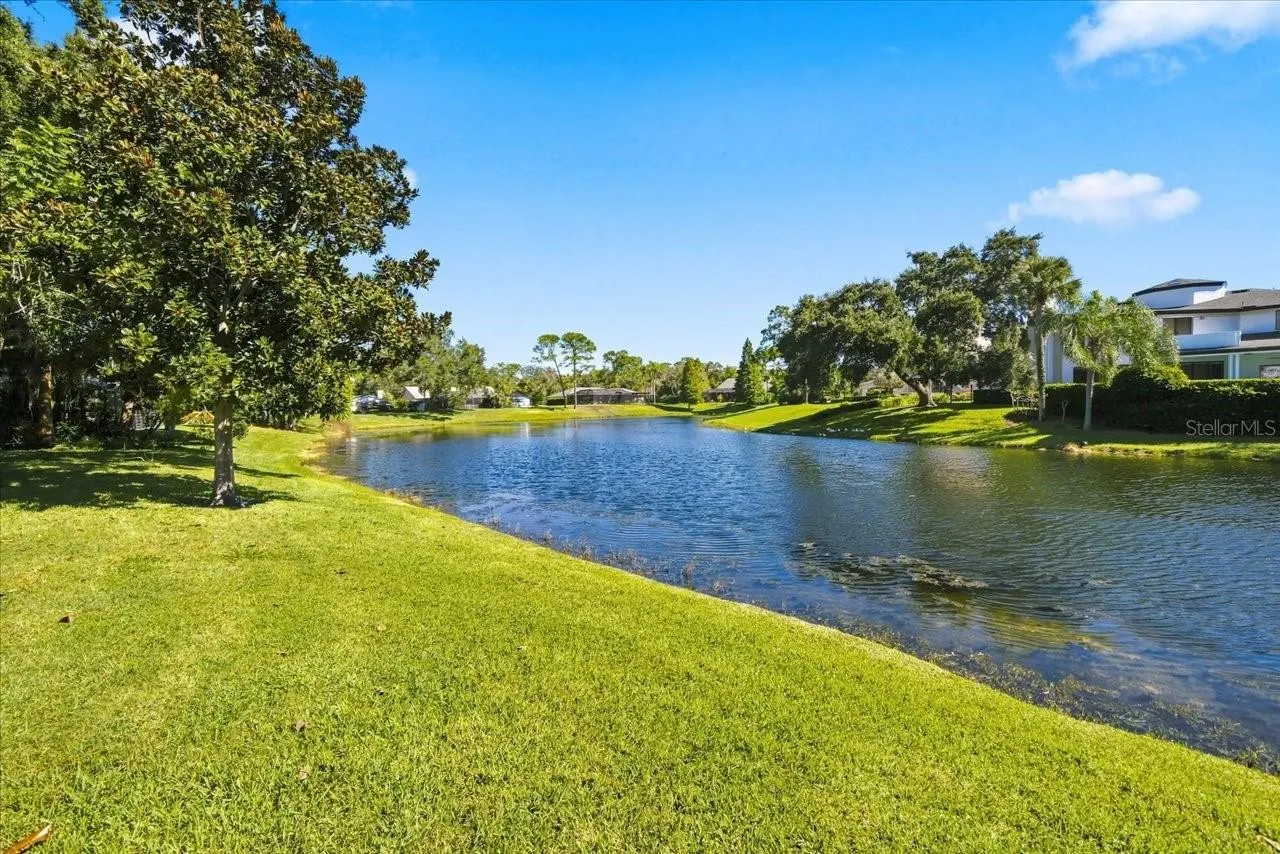 4110 CARROLLWOOD VILLAGE DR