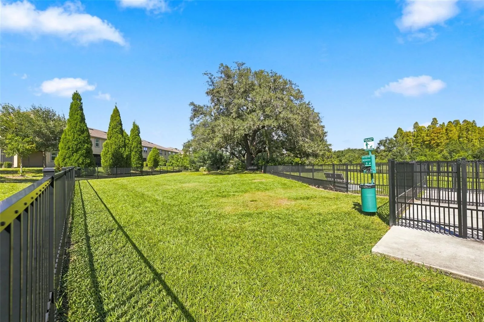 11417 BLUE WOODS DR