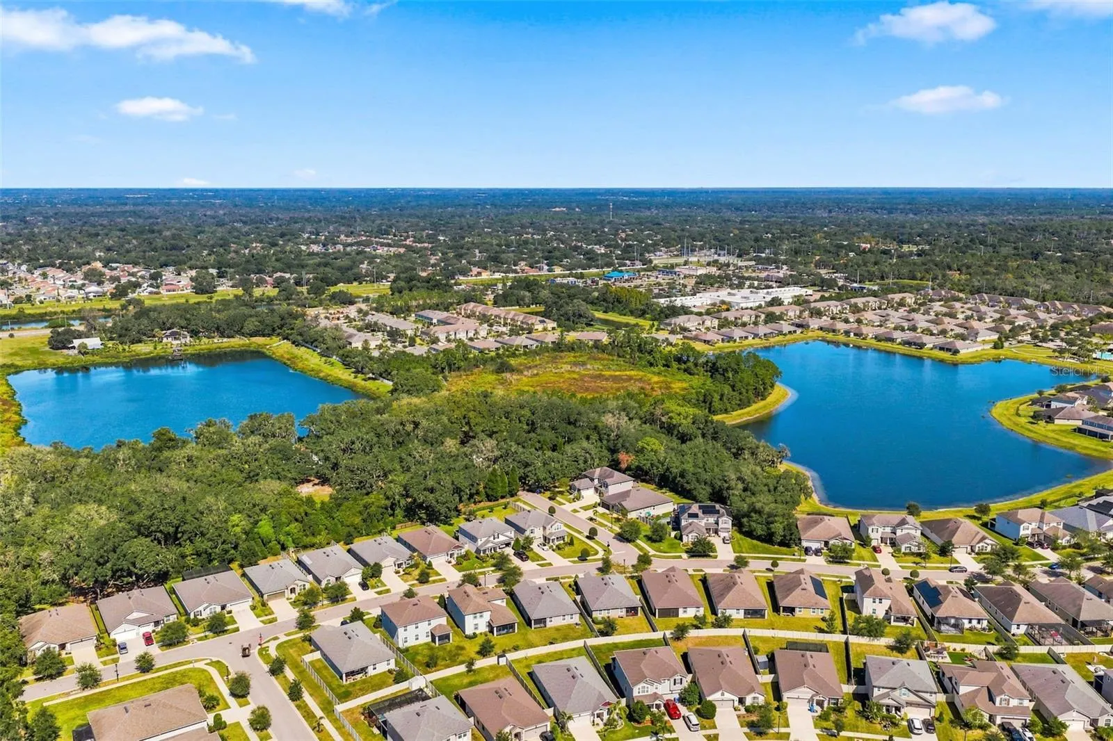 11417 BLUE WOODS DR