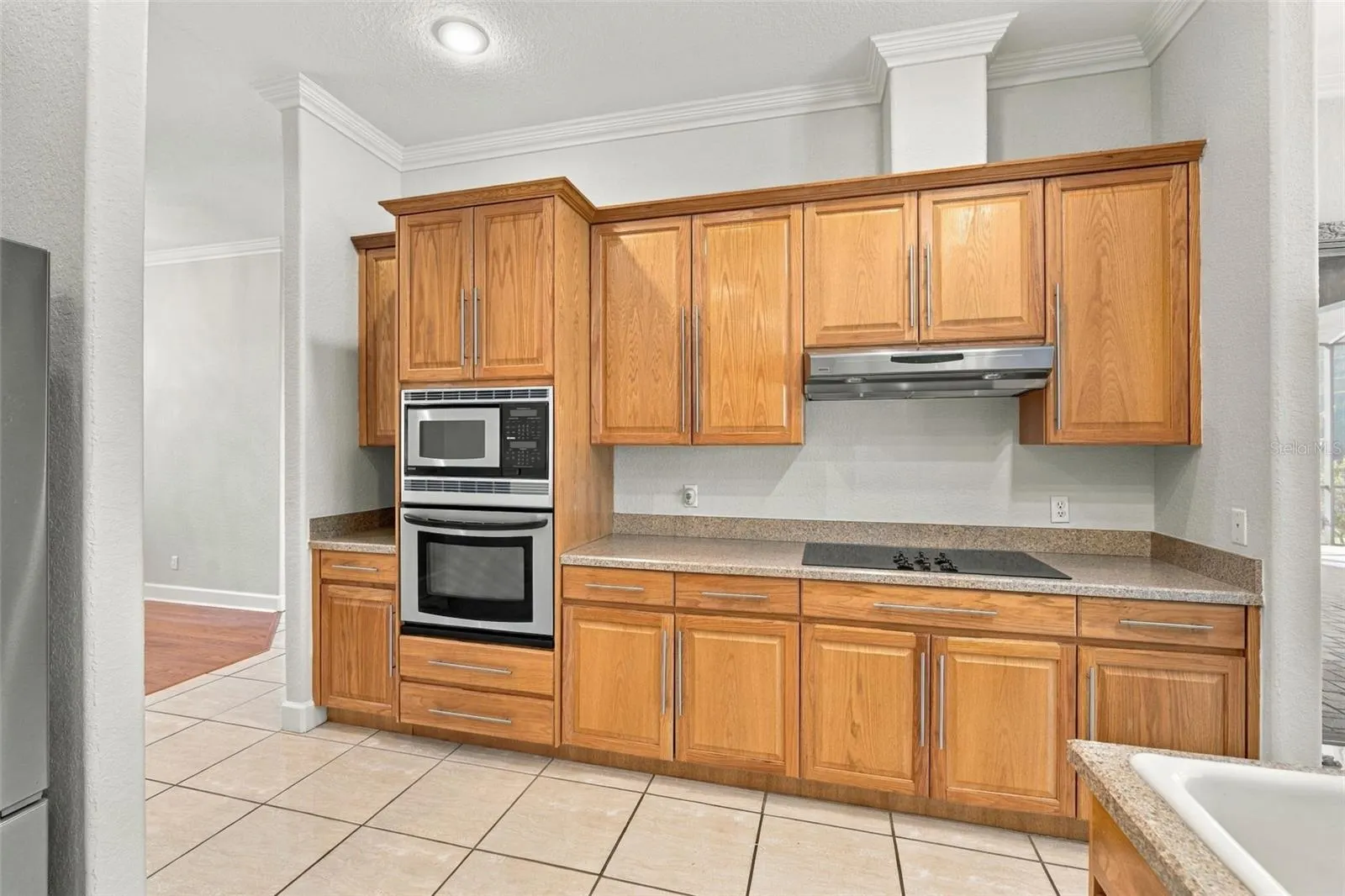 3916 VALRICO GROVE DR