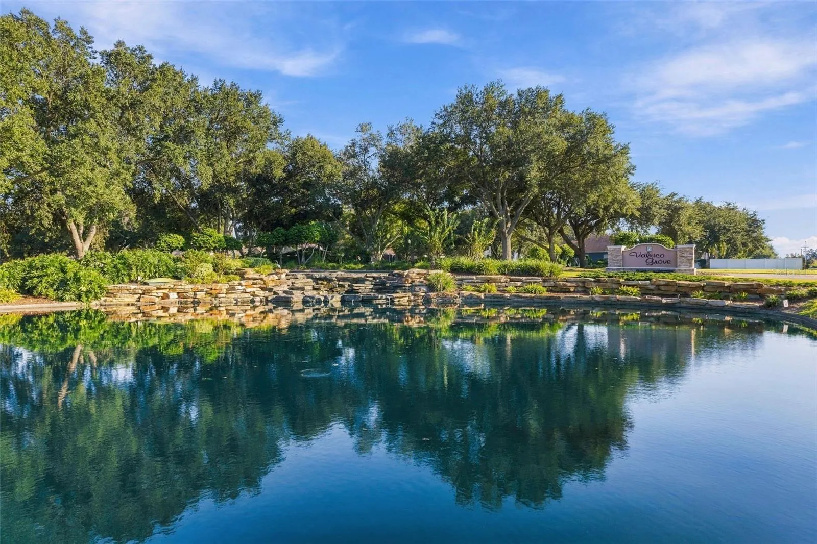 3916 VALRICO GROVE DR