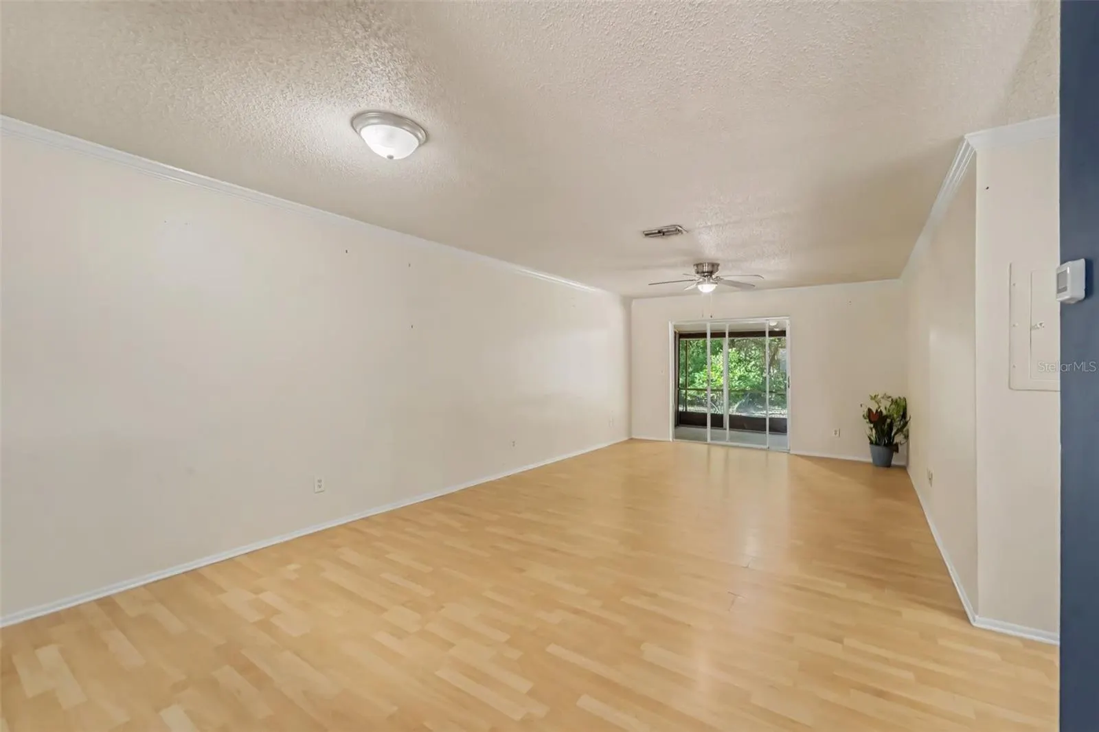 1443 & 1445 GILES AVE