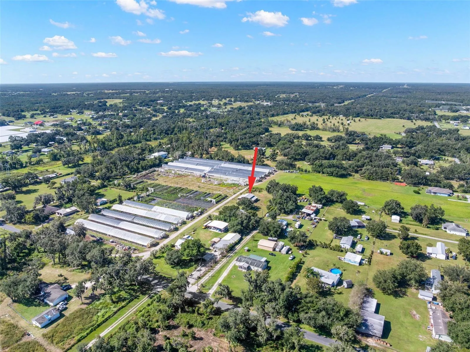 10127 GEORGE SMITH RD