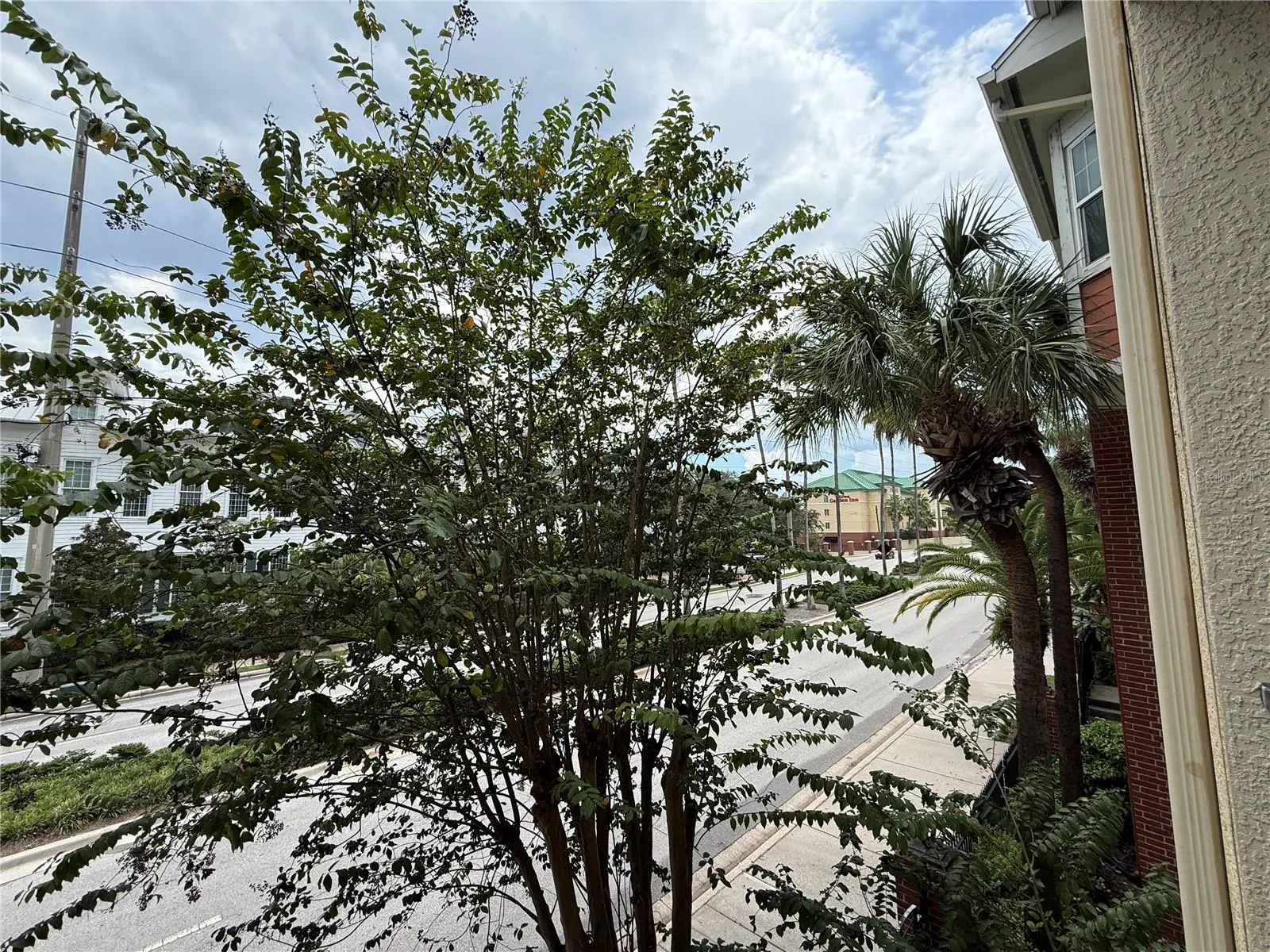 1810 E PALM AVE #1202 #1202
