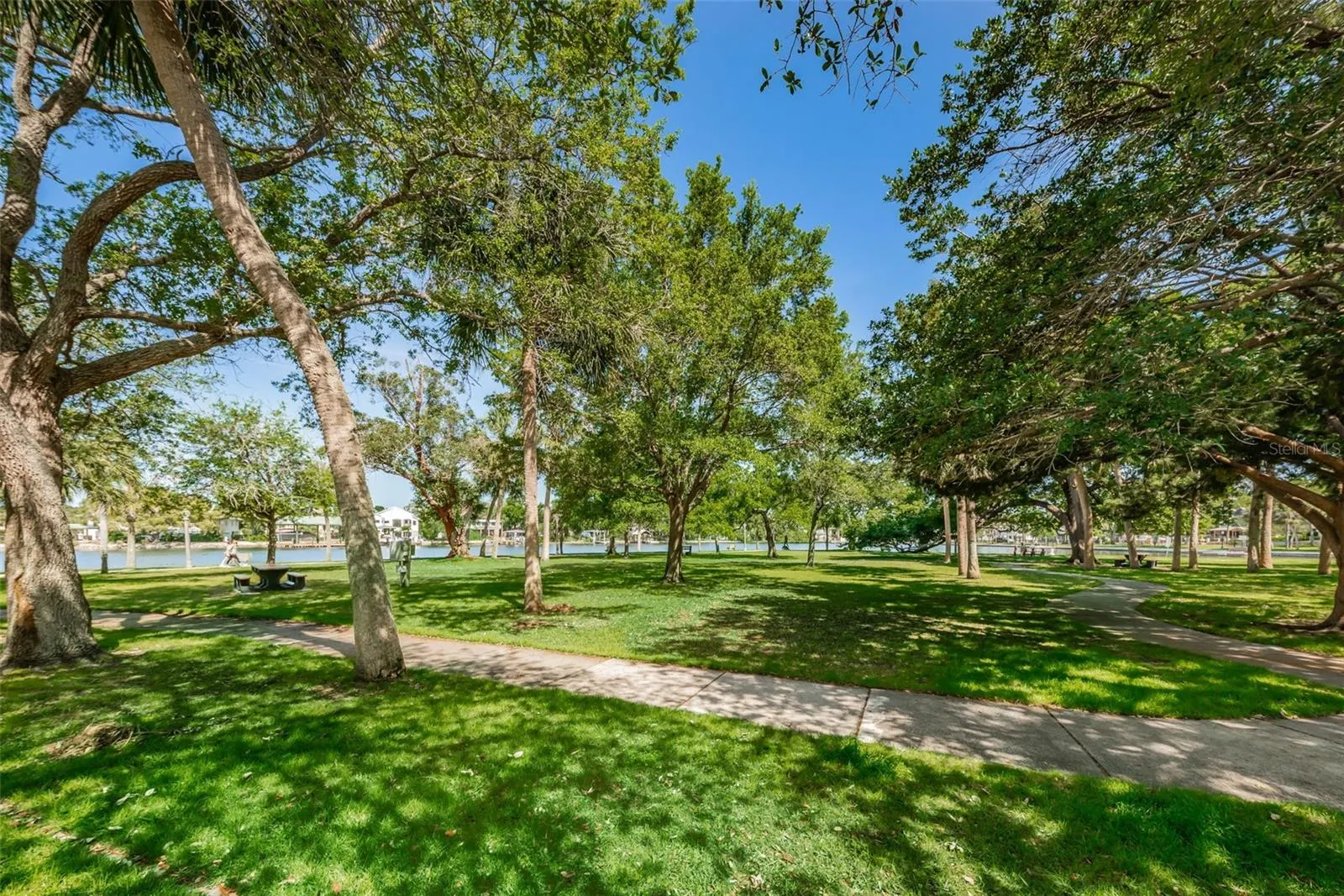 39820 US HIGHWAY 19 N #182 #182