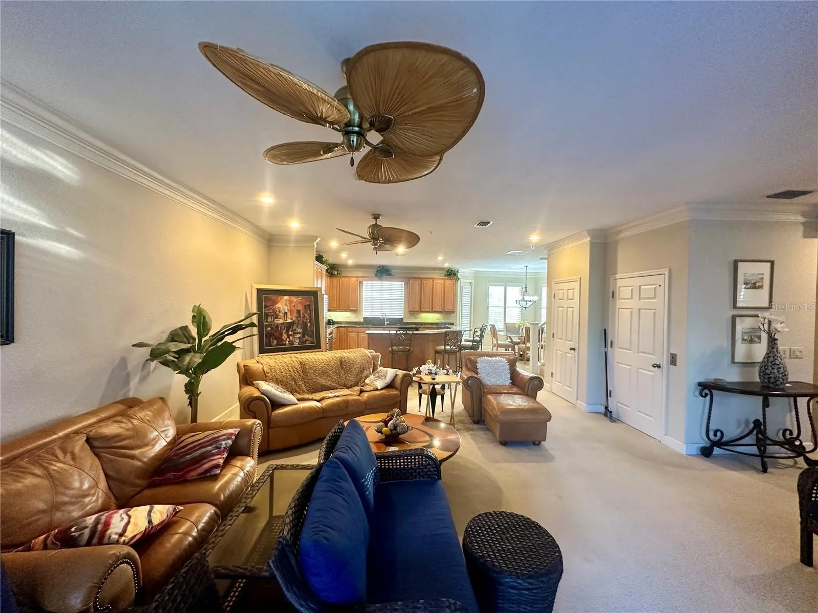 135 SHOALS CIR