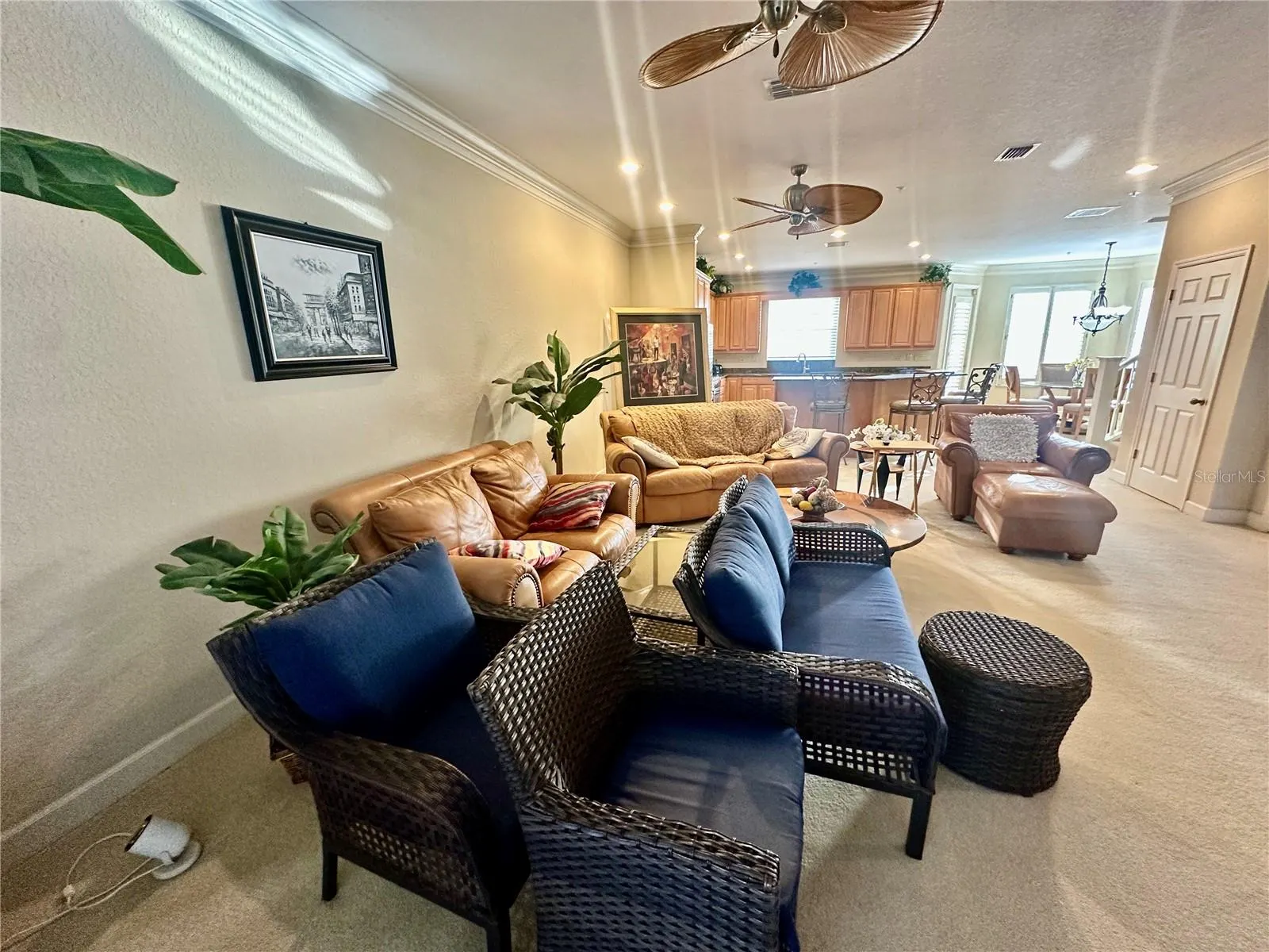 135 SHOALS CIR