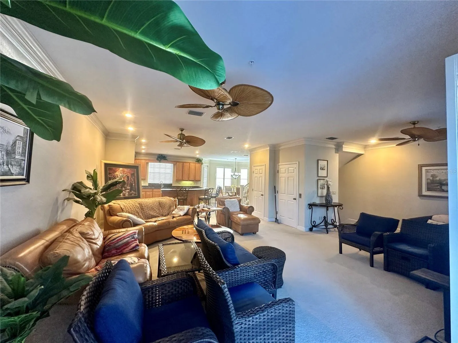 135 SHOALS CIR