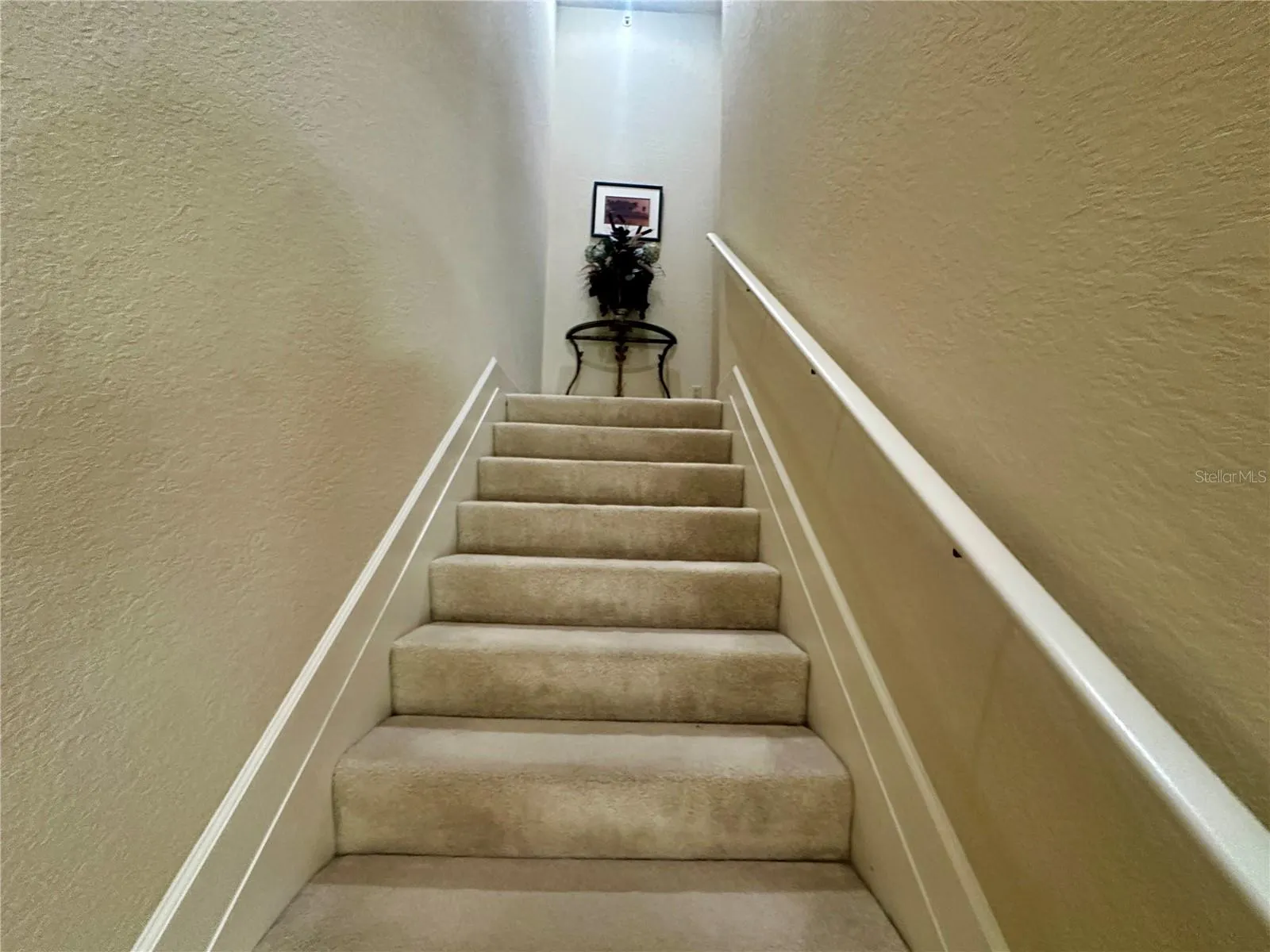 135 SHOALS CIR