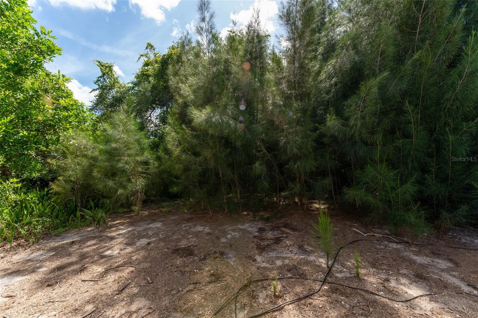 1775 FAUN RD
