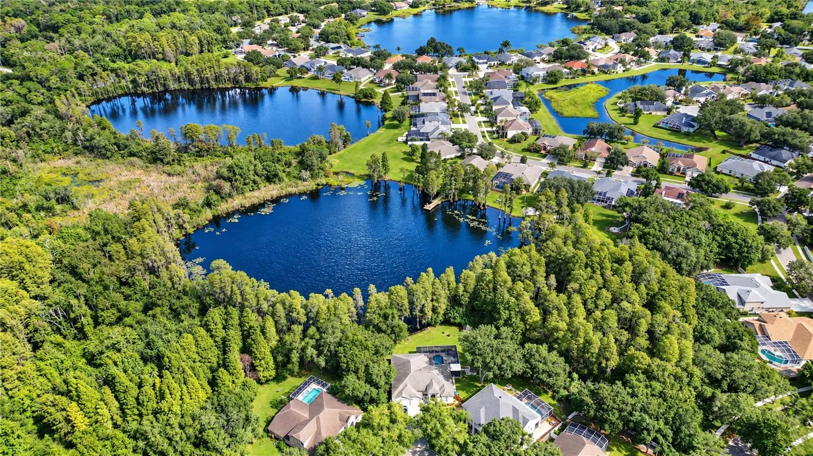 15306 HIDDEN ARBOR CT