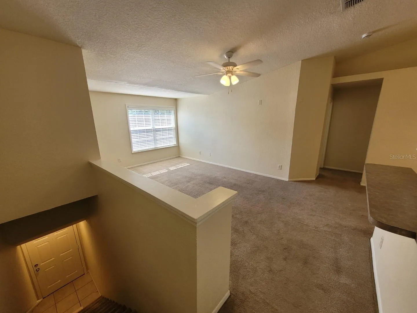 5901 BRICKLEBERRY LN #203 #203