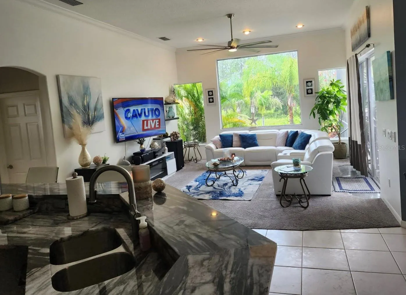 10532 CORY LAKE DR