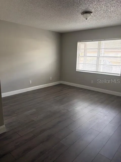 24862 US HIGHWAY 19 N #803 #803