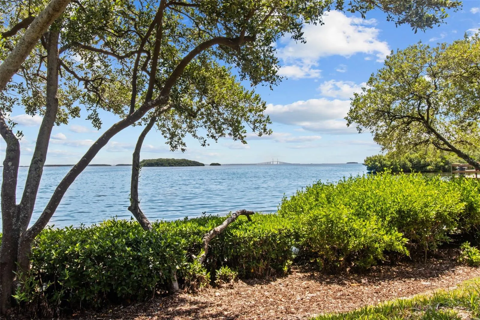 1515 PINELLAS BAYWAY S #65, #65