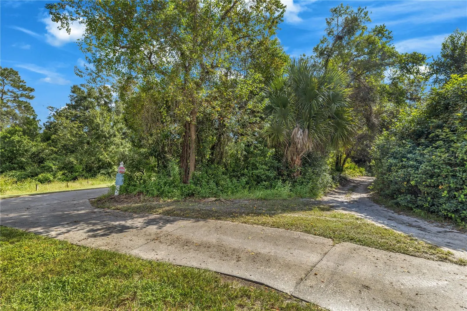 313 HAMPTON HILLS CT