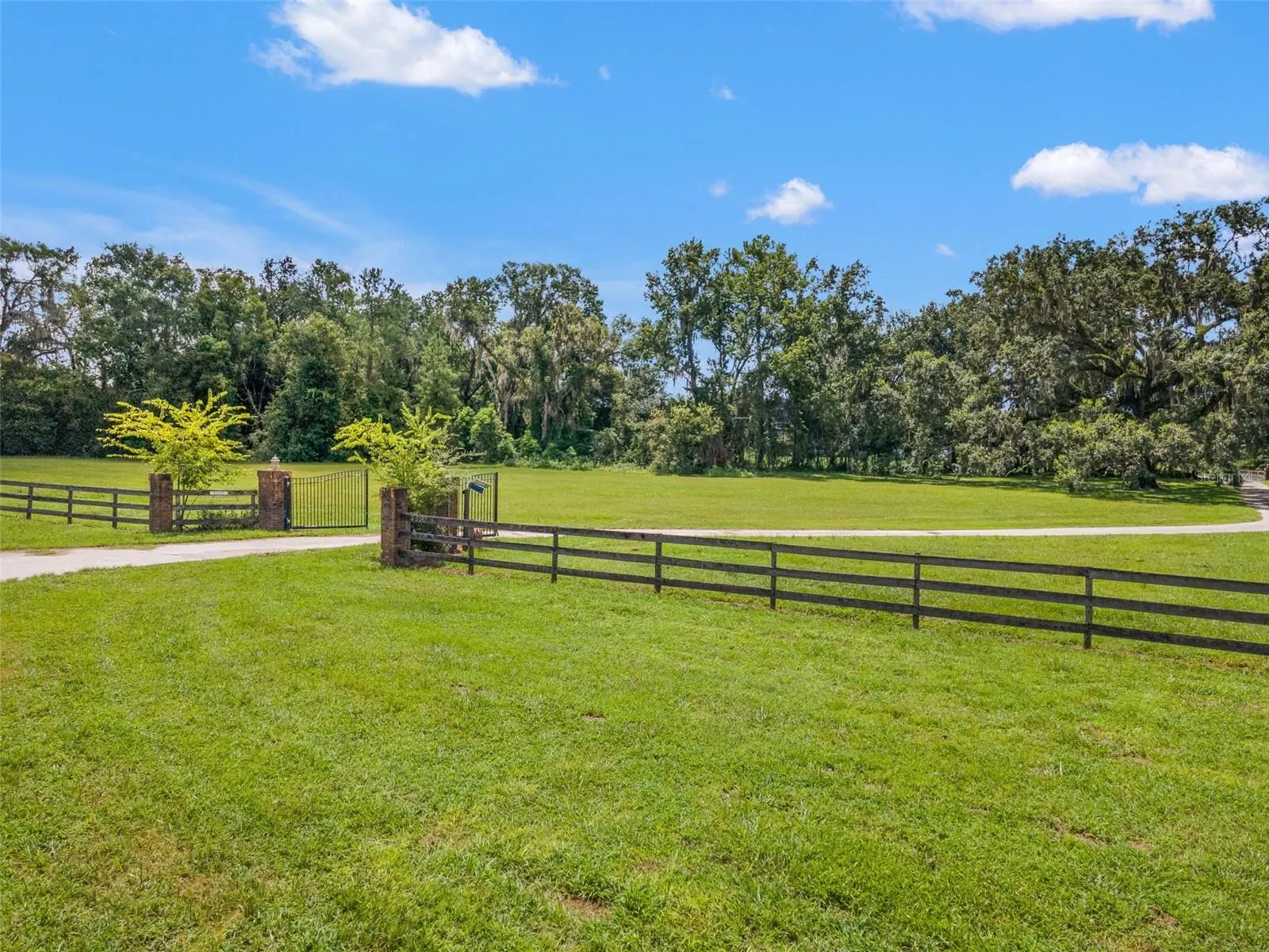 22332 MIZELL RD